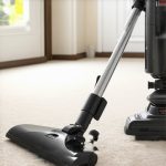 Best Carpet & Deep Cleaning Techniques for a Pristine Home in 2024