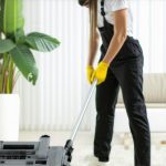 Deep Clean Mastery: Expert Tips for Homes & Carpets in 2024