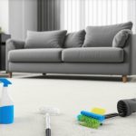 4 Tactics for Killing Pet Odors in Bio-Fleece Carpets [2026]