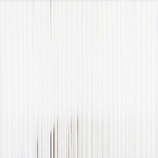 Close-up of a clogged HEPA vacuum filter showing fine white dust particles.